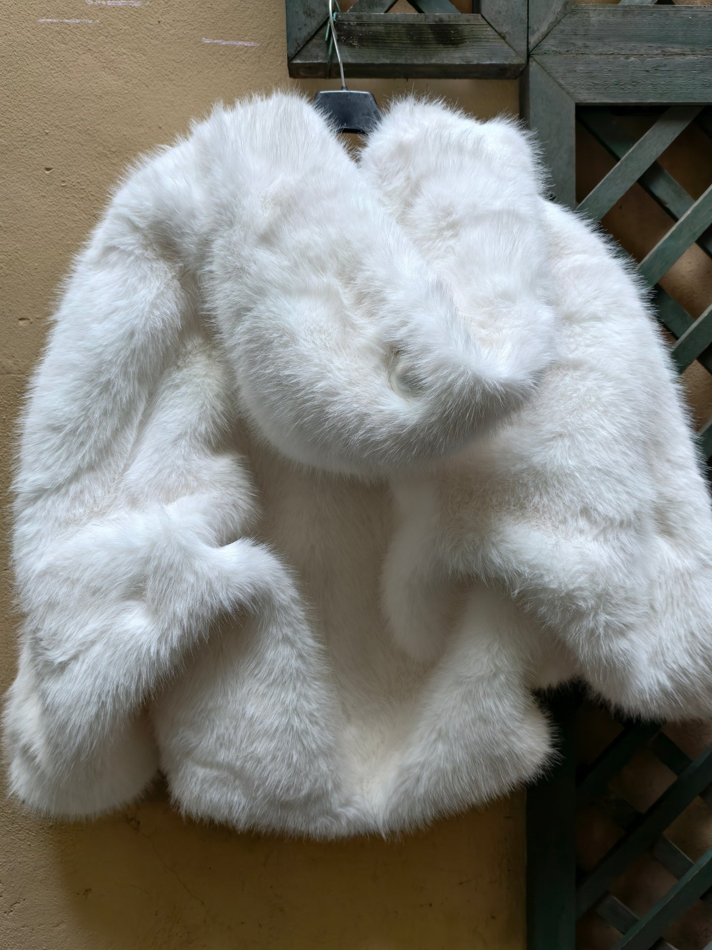 Pelliccia giacca con cappuccio